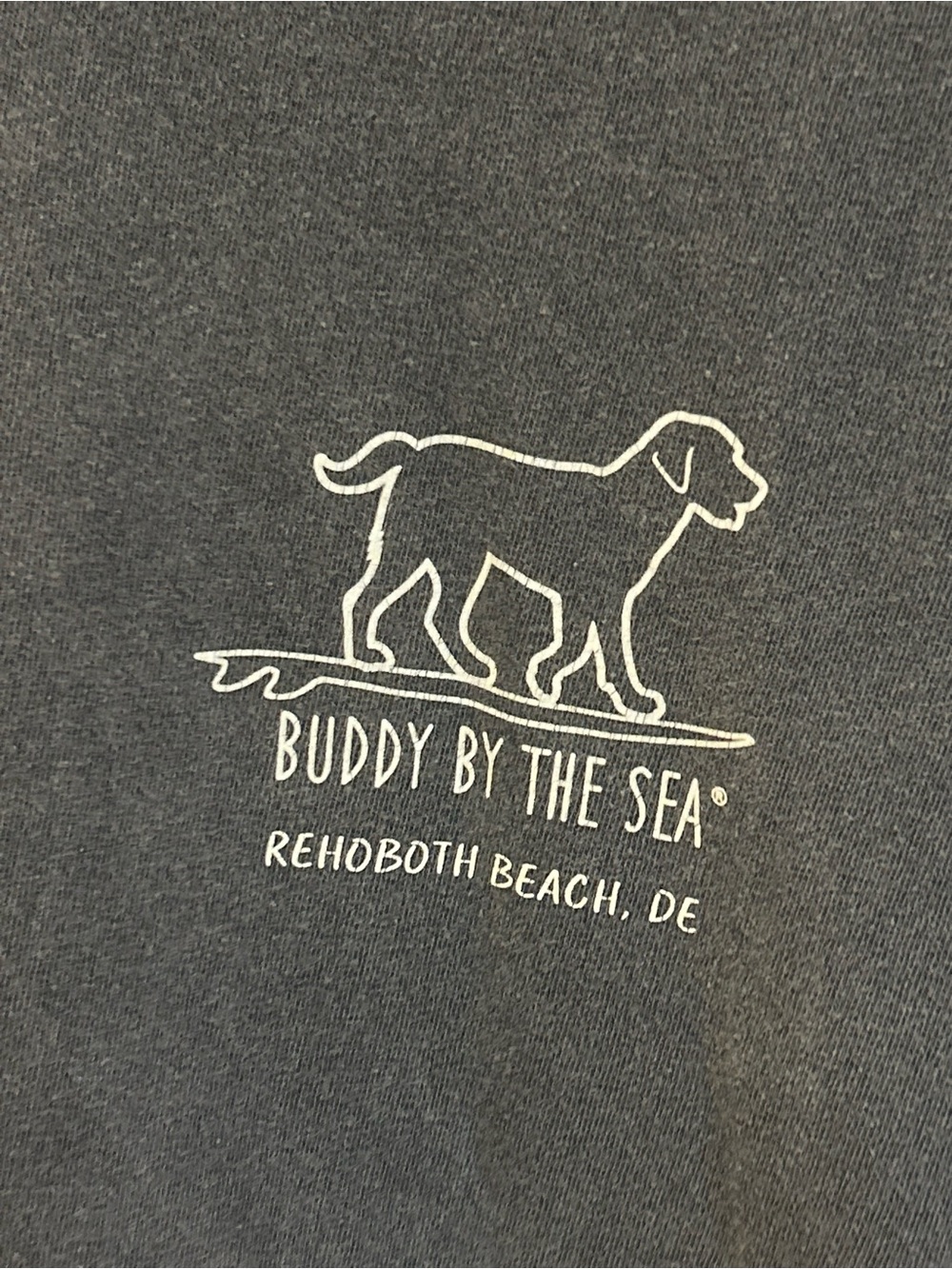 Buddy By The Sea Rehoboth Beach Comfort Colors Graphic Tee XL Gray - Picture 3 of 5